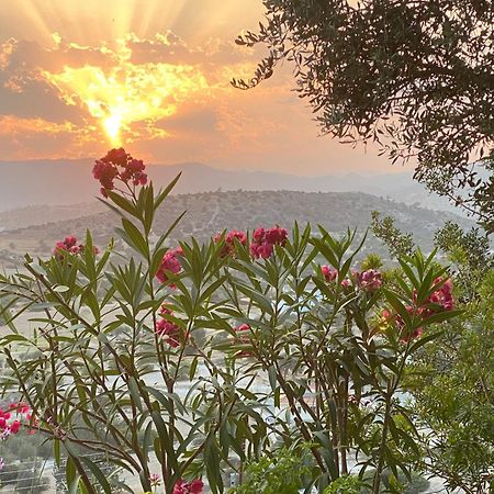 Endless Sunset Villa Pentakomo ภายนอก รูปภาพ